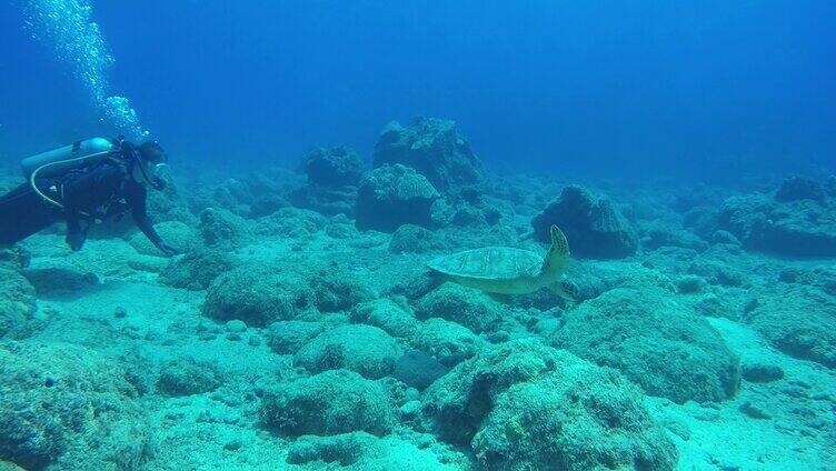 潜水员和海底的海龟