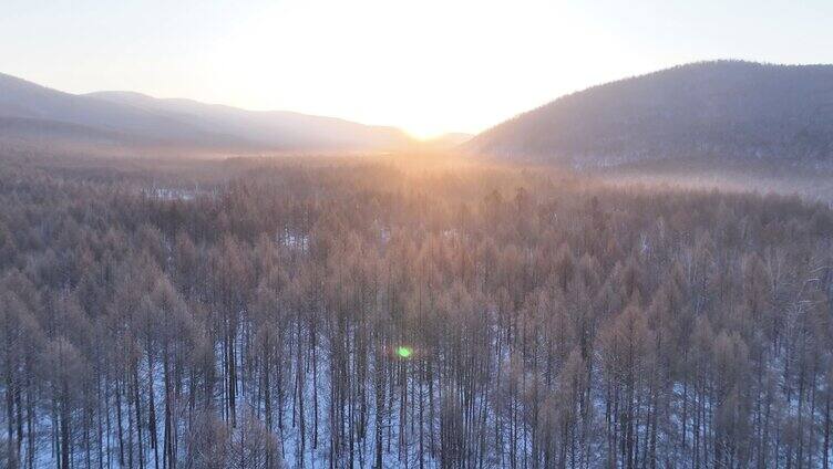 曙光照耀冻雾迷漫的林海雪原