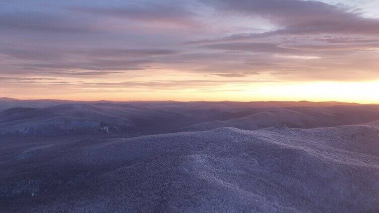 大兴安岭冬季雪色山林黎明风景