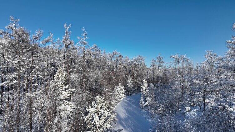 林海雪原雪林和山路