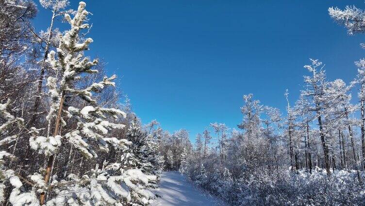 林海雪原雪林和山路