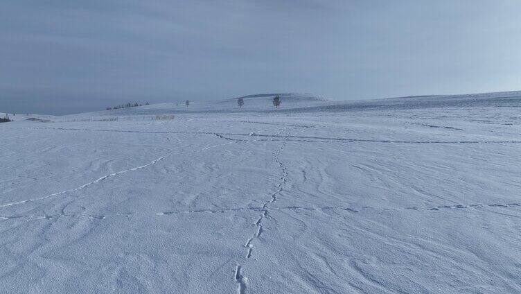 航拍呼伦贝尔雪域雪原