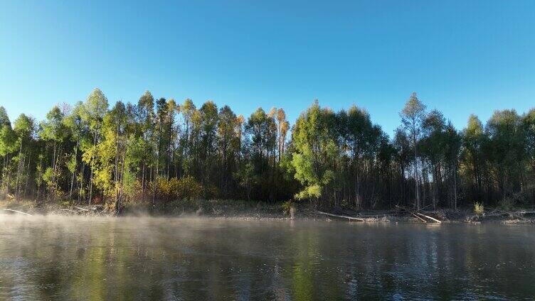 晨雾迷漫的秋季清澈森林河