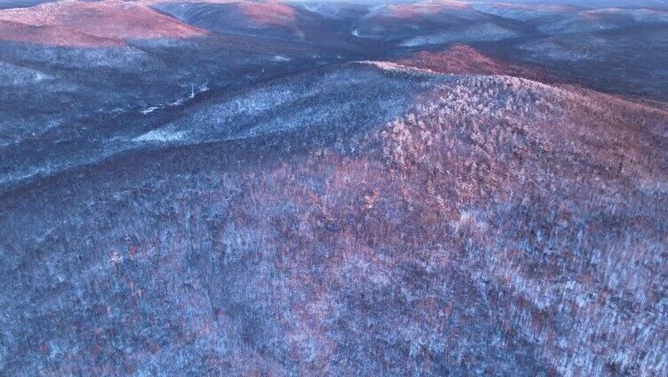 航拍大兴安岭林海雪原暮色