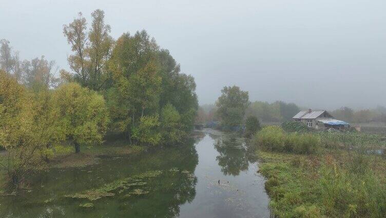 秋季晨雾中的河岸农舍