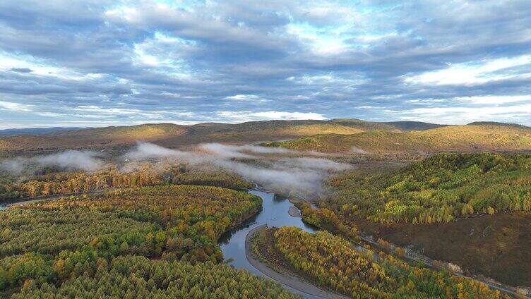 金色森林蓝色河流晨雾迷漫
