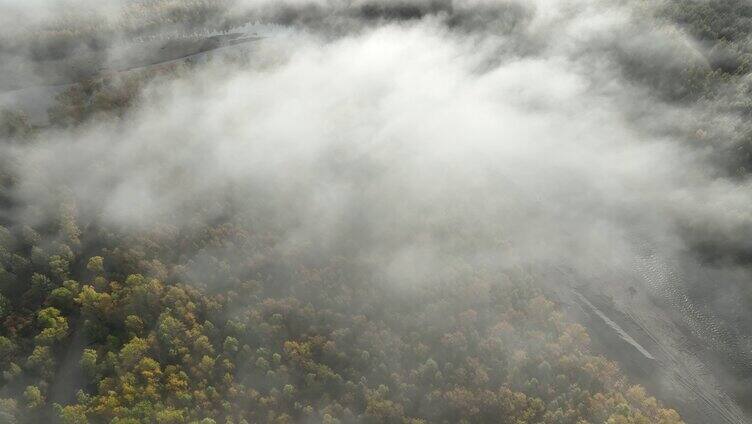 航拍秋季森林河晨雾缥缈