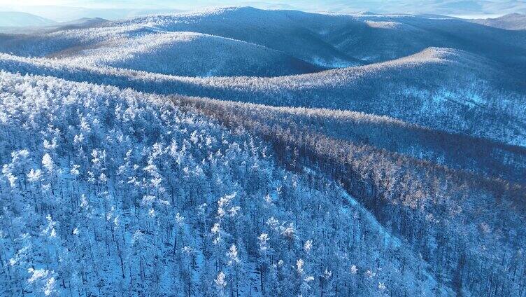 航拍大兴安岭冬季雪色山林晨曦