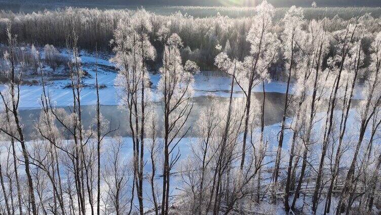 雪原冰河晶莹树挂冻雾