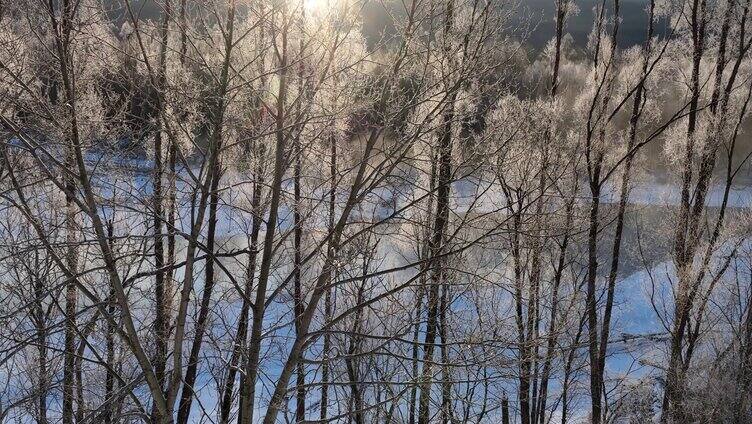 雪原冰河晶莹树挂冻雾