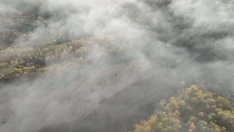 航拍秋季森林晨雾缥缈