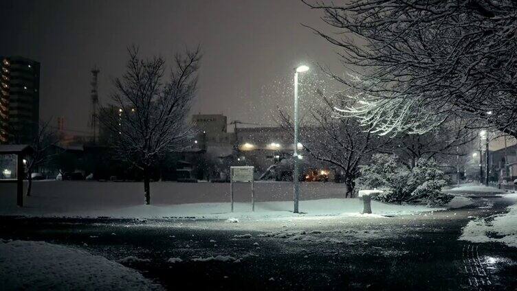 唯美下雪雪花飘落镜头