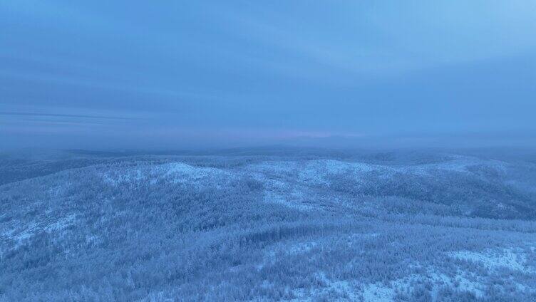 航拍晨曦蓝调林海雪原