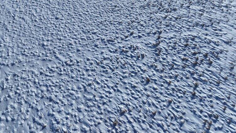 冰雪覆盖的内蒙古扎敦河湿地草甸