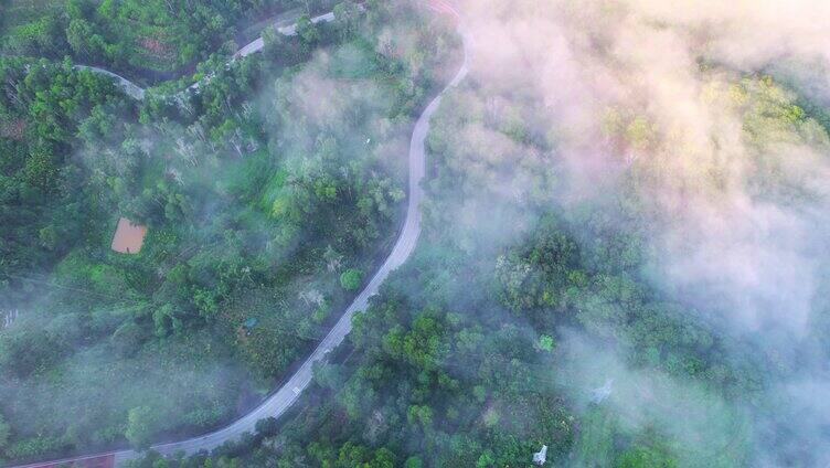 高速公路 云雾缭绕