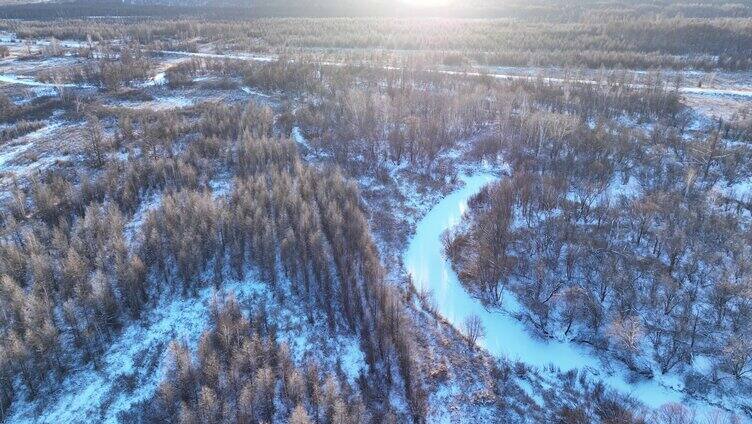 鸟瞰冰雪覆盖的冻土森林湿地