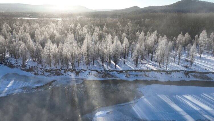 冷空气笼罩的雪原树林