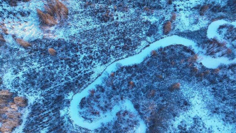 鸟瞰冰雪覆盖的冻土森林湿地