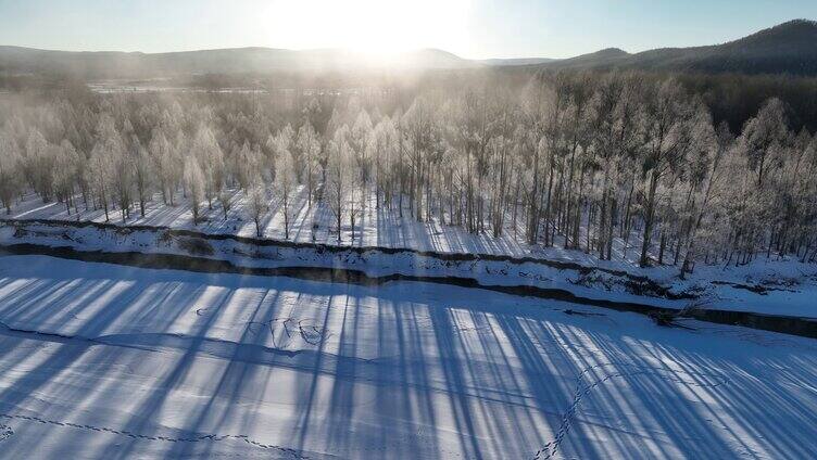 冷空气笼罩的雪原树林