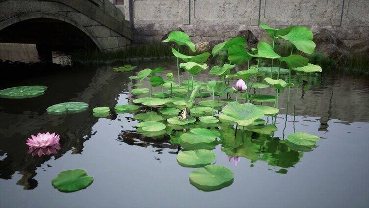 UE场景  蜻蜓飞舞 荷叶 水珠 