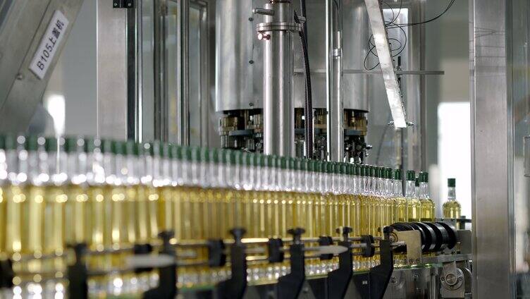山茶油自动化车间生产人工检验「组镜」