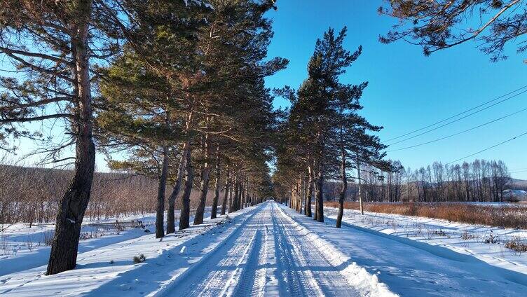 通向林海雪原的雪路