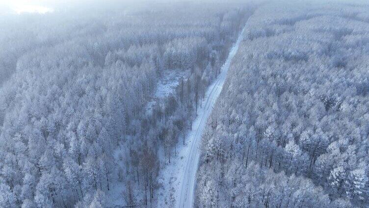 航拍林海雪原雪林和山路