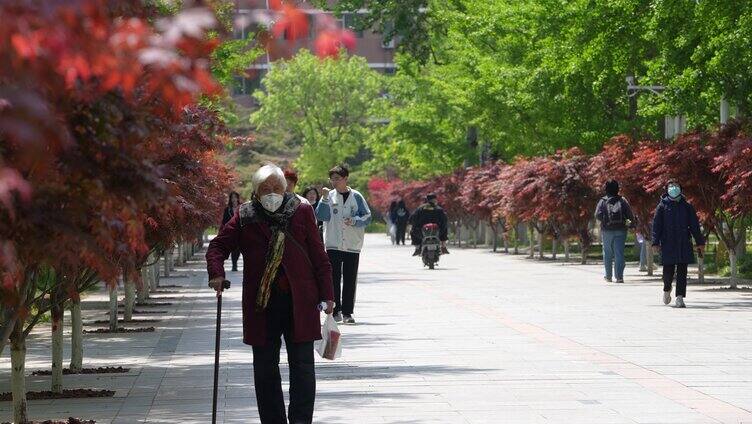 4k 拍摄校园人流行走 老奶奶走路口罩