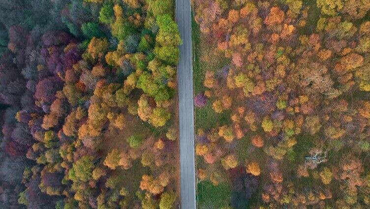 穿过山林的道路航拍