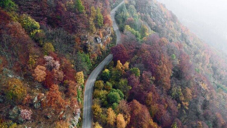 穿过山林的道路航拍