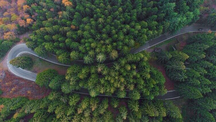 穿过山林的道路航拍