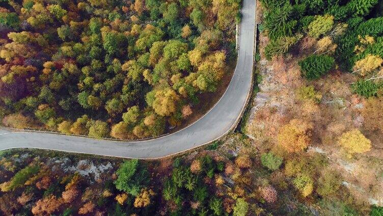 穿过山林的道路航拍