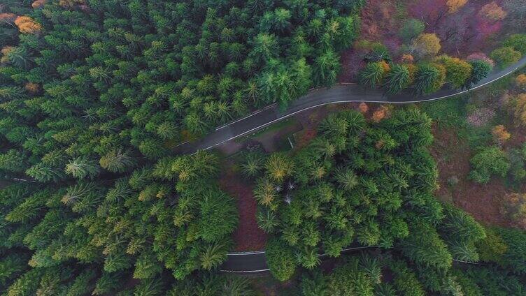 穿过山林的道路航拍