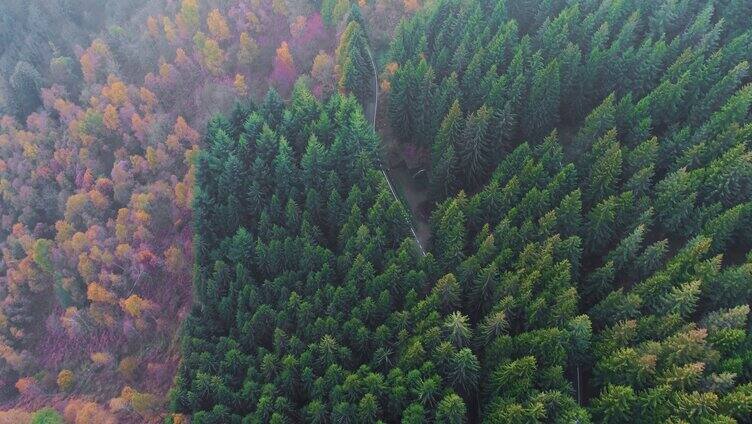 穿过山林的道路航拍