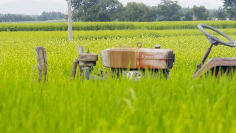 农业器具 稻田内的拖拉机 农业风景