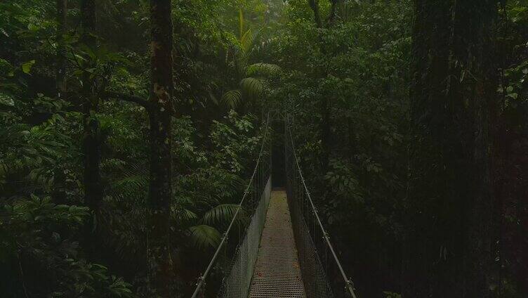 森林里的铁索桥