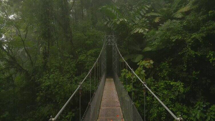 森林里的铁索桥