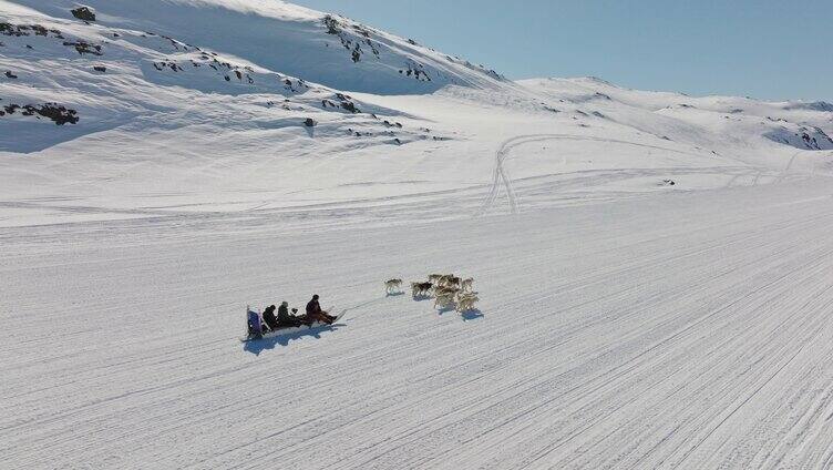 格陵兰狗拉雪橇