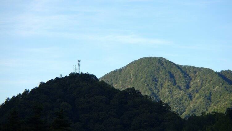 婺源绿色生态景观森林山川野生动物「组镜」