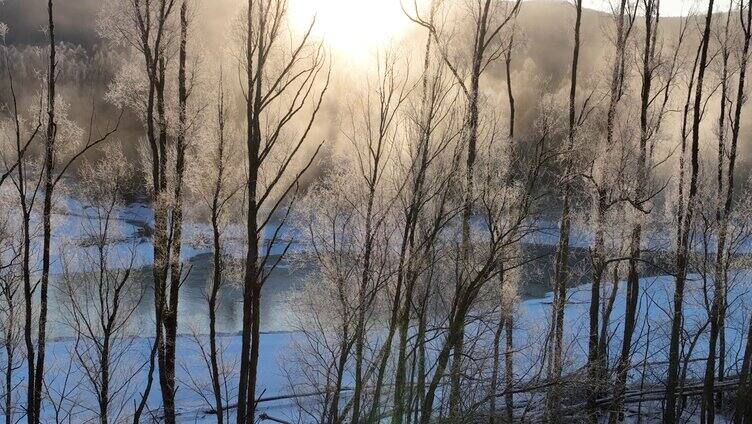 雪原冰河晶莹树挂冻雾阳光