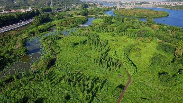 航拍漳州龙文郊野公园合集