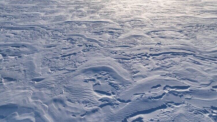 呼伦贝尔草原冬季风吹雪