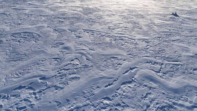 呼伦贝尔草原冬季风吹雪