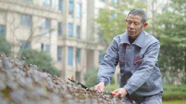 物业修剪草坪 修剪 美化