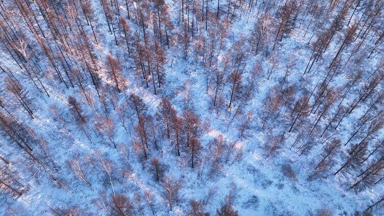 航拍大兴安岭林海雪原风光合集