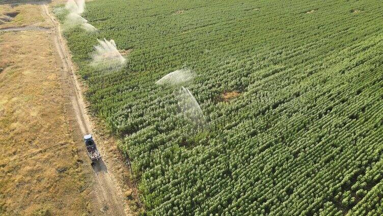 农田灌溉航拍