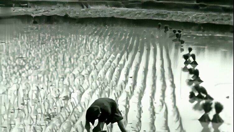 1935年广州干农活的农民