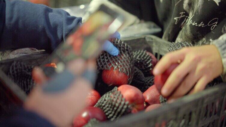 水果包装 车间生产 加工包装「组镜」
