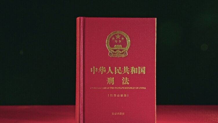 中华人民共和国刑法 法律【组镜】