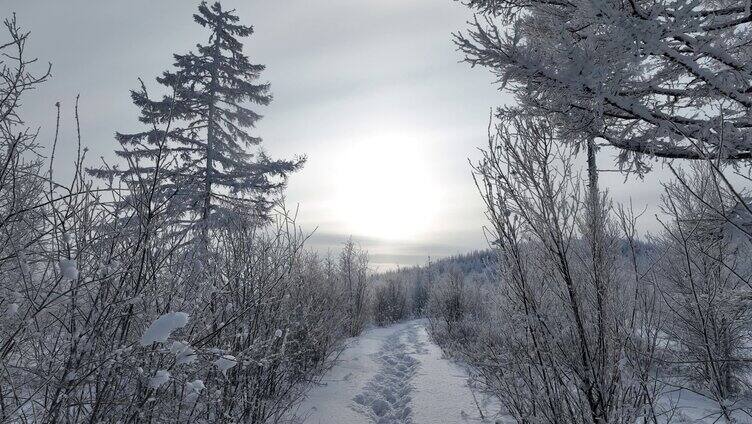 林海雪原雪林和山路